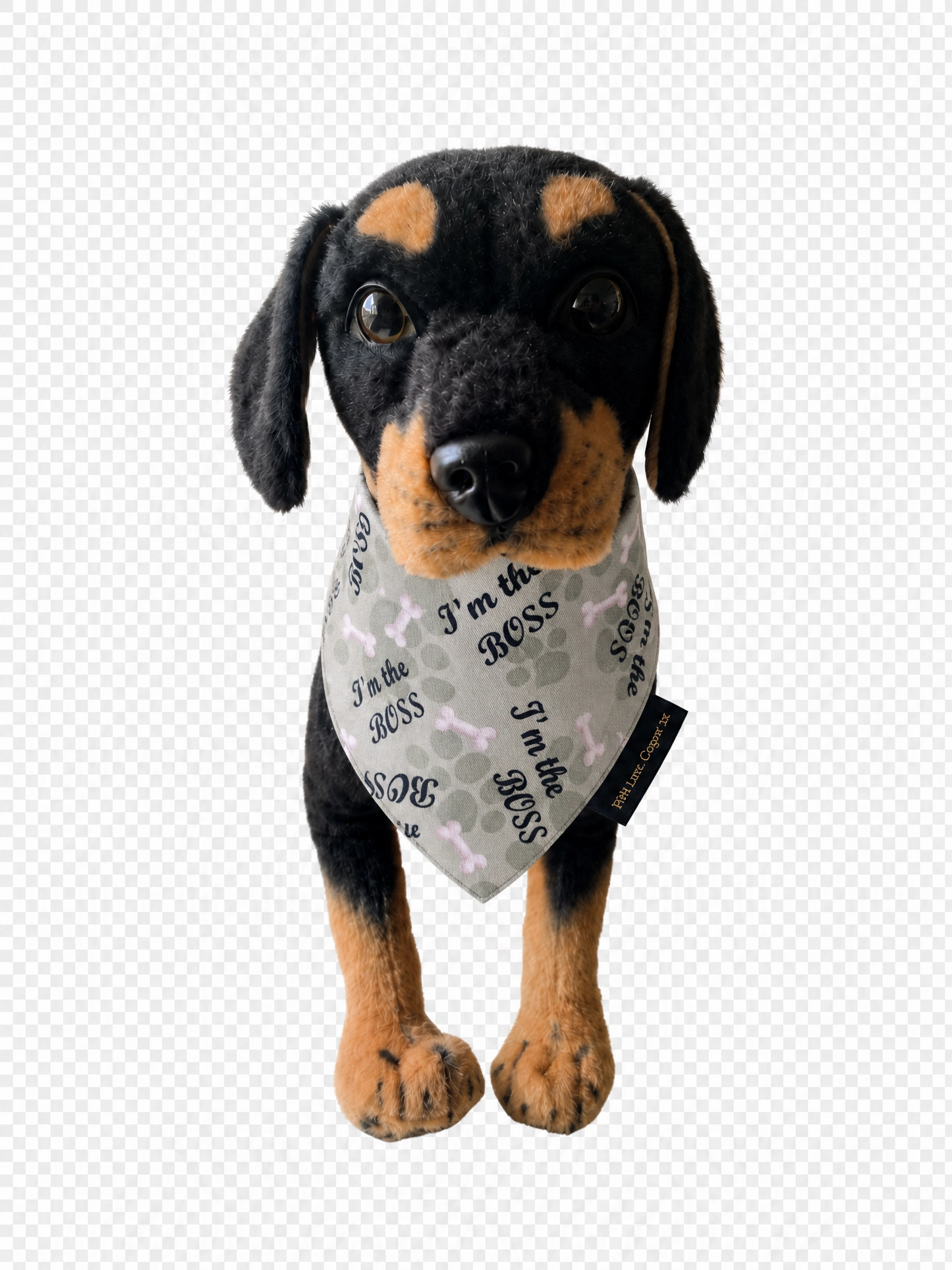I'm the Boss - Green Dog Bandana