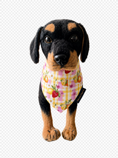 Citrus Berry Gingham Dog Bandana