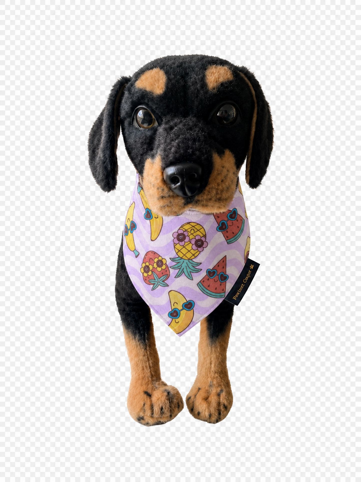 Sweet Summer Dog Bandana
