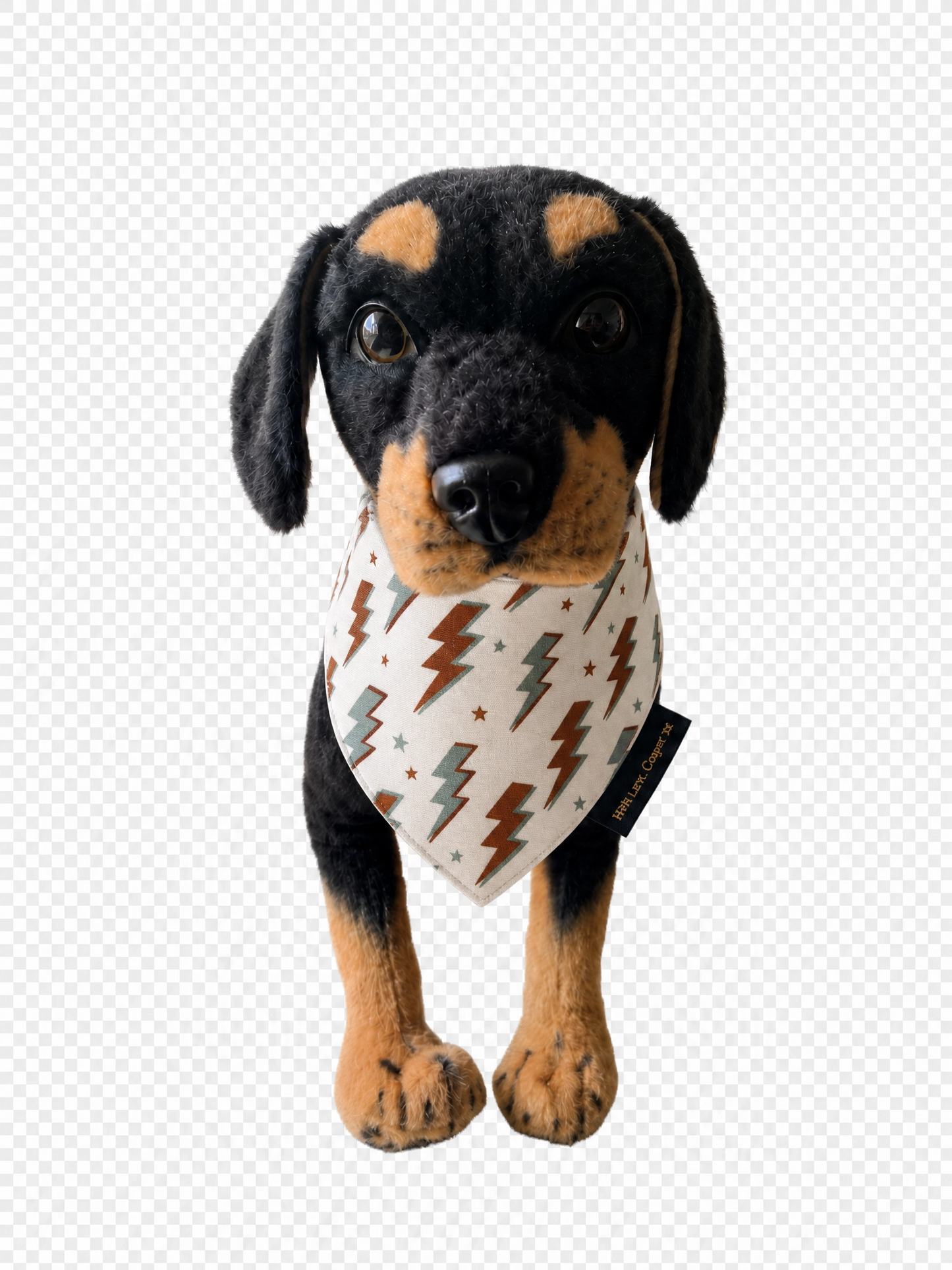 Lightening Bolts Dog Bandana