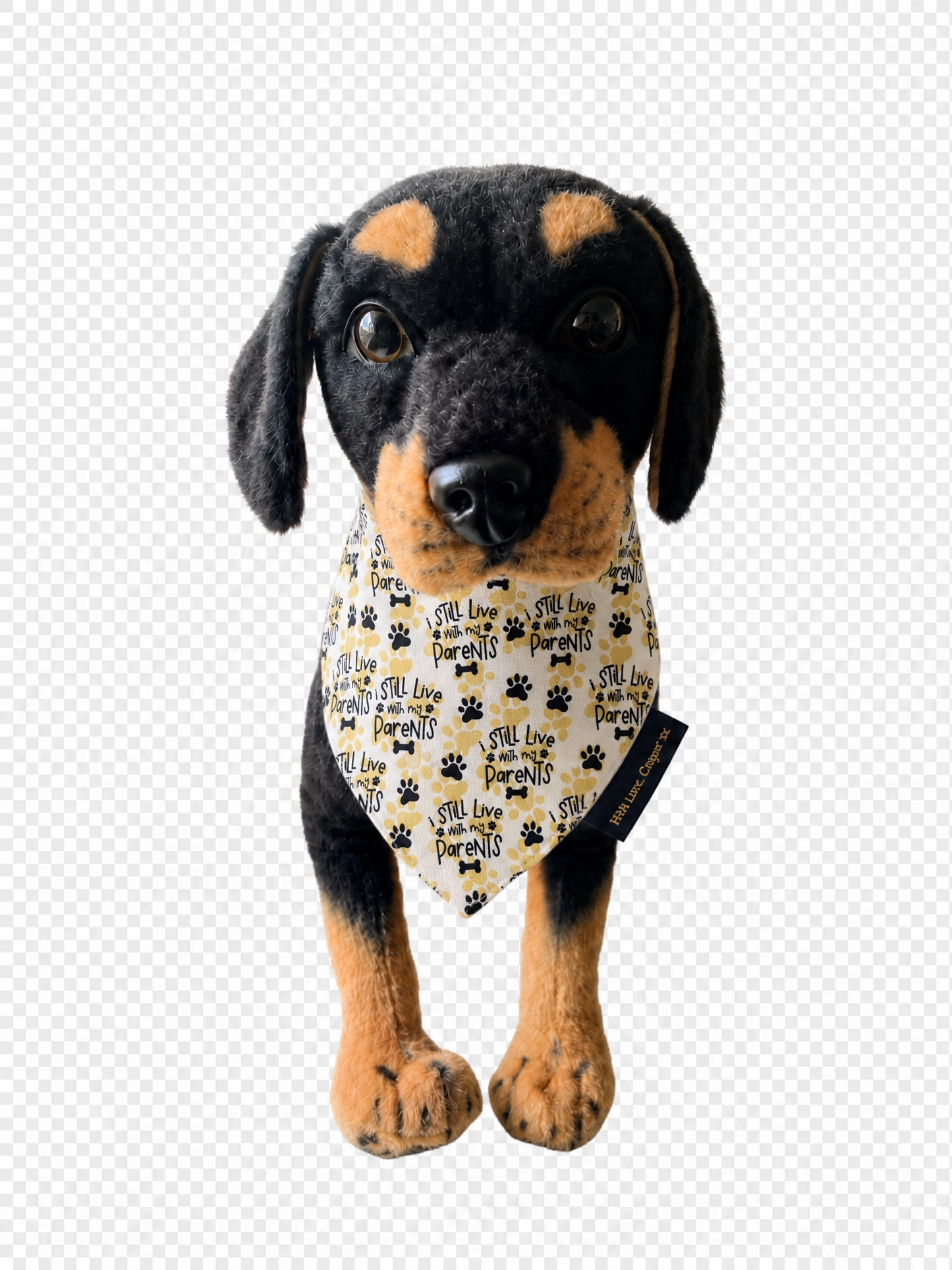 I Still Live With My Parents Dog Bandana