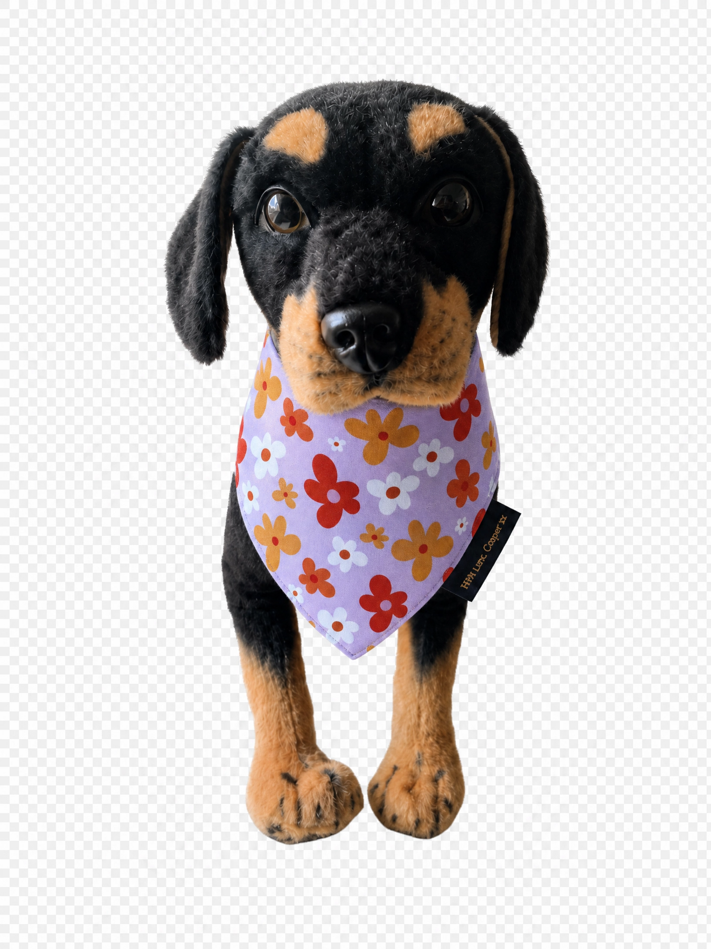 Missy Dog Bandana