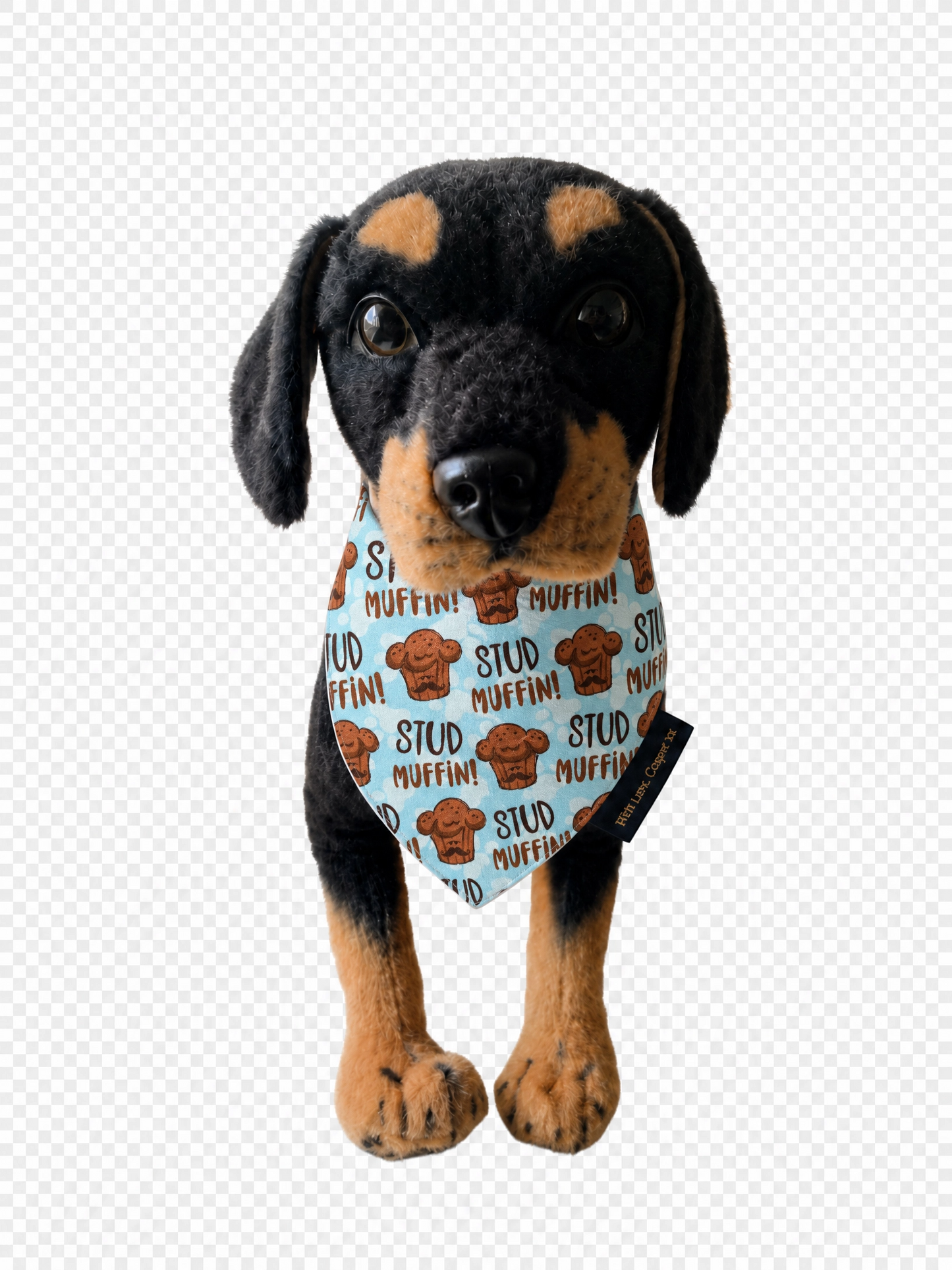 Stud Muffin Dog Bandana