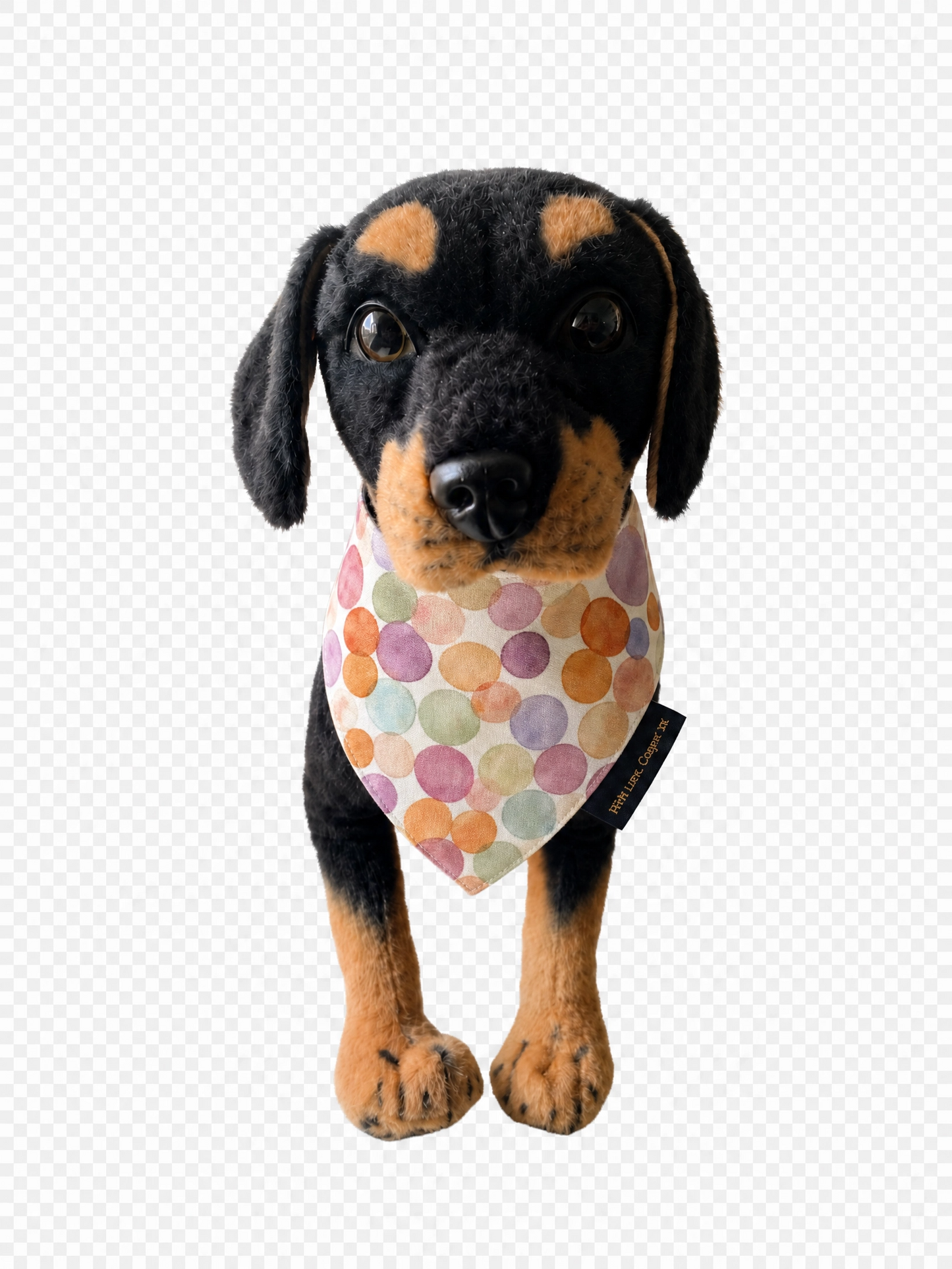Confetti Bubbles Dog Bandana